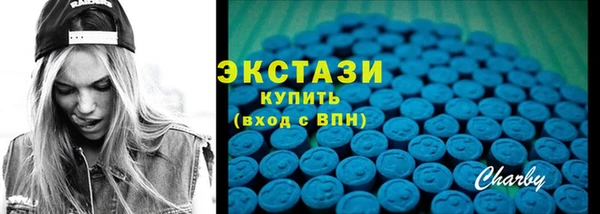 индика Медногорск