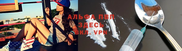 индика Медногорск