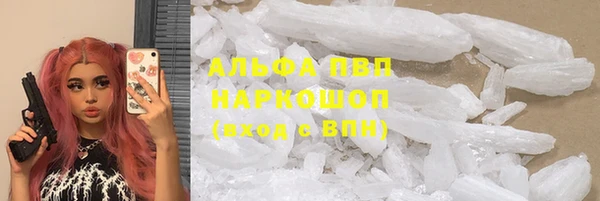 индика Медногорск