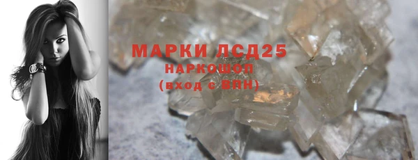 индика Медногорск