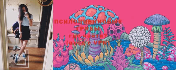 тгк Майский