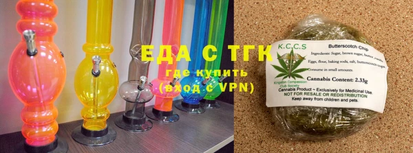 индика Медногорск