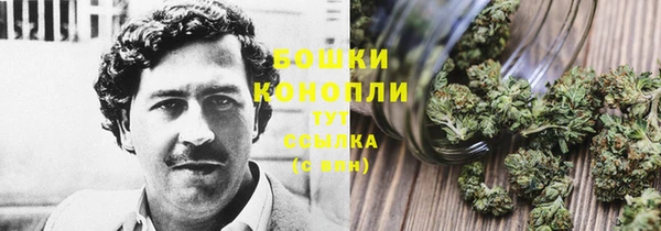 тгк Майский