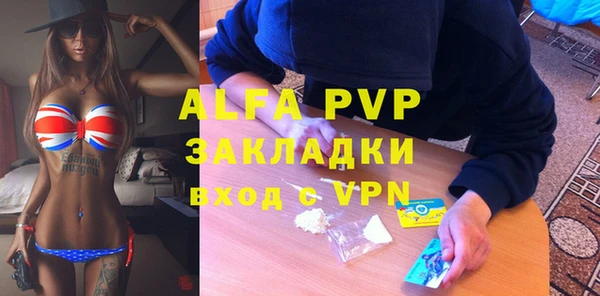индика Медногорск