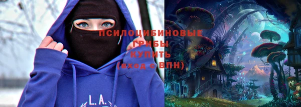 тгк Майский