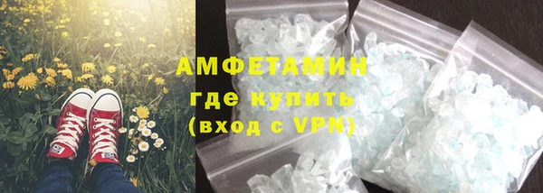 индика Медногорск